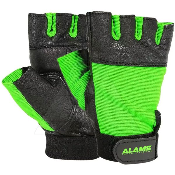 Gym Gloves