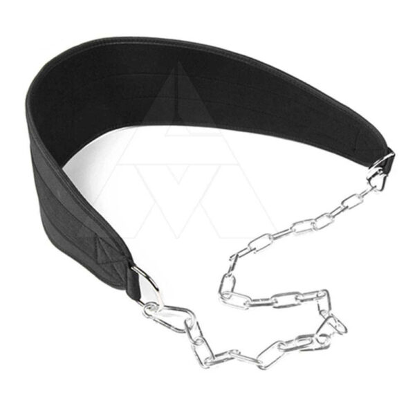 Dip Belt