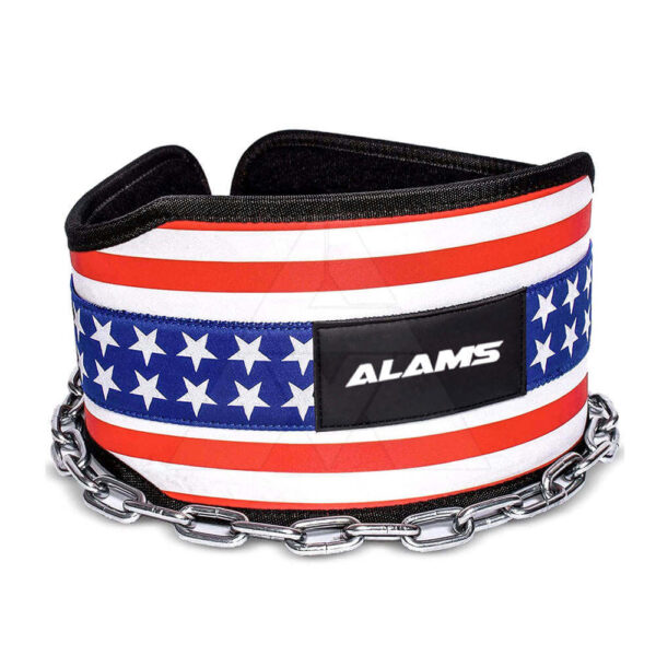 Dip Belt