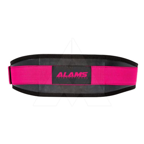 Weight Lifting Belt